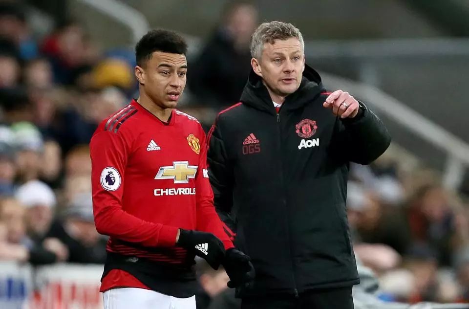 视并期待中 视并期待中